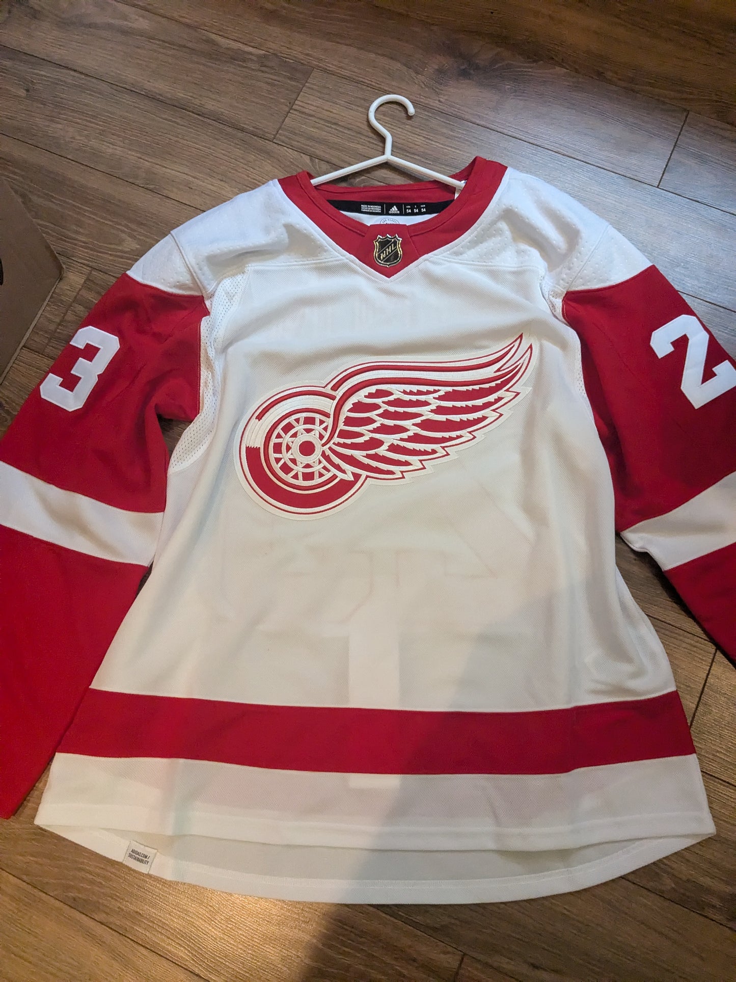 Lucas Raymond Detroit Red Wings Fanatics Authentic Autographed