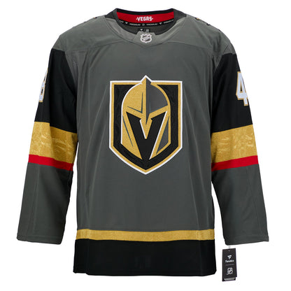 Tomas Hertl Signed Vegas Golden Knights Alt Grey Fanatics Premium Jersey